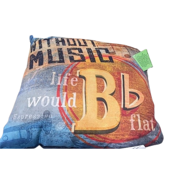 18 x 18 in. Climaweave Without Music Outdoor Pillow by Mollie B