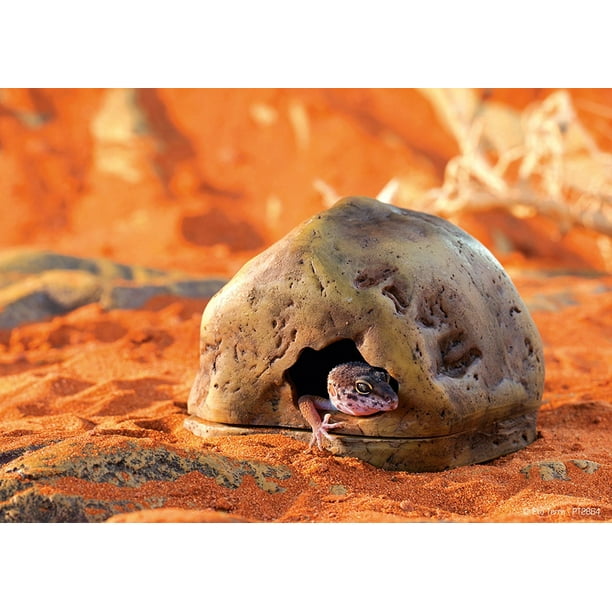 Exo Terra Reptile Cave Medium Walmart Com Walmart Com