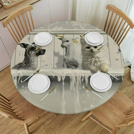 

BCIIG Dog Cat Round Table Cover Stain Resistant Washable Indoor Outdoor Tablecloth Kitchen Dining Wedding Parties 100% Polyester Fiber 38 -42