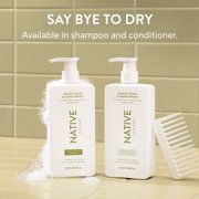 Native Moisturizing Conditioner Desert Grass and Sandalwood 16.5 fl oz