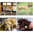 thumbnail image 4 of Arnés para perros Patas delanteras Ayuda para transportar perros Ayuda para caminar Arnés de soporte Pe, 4 of 5