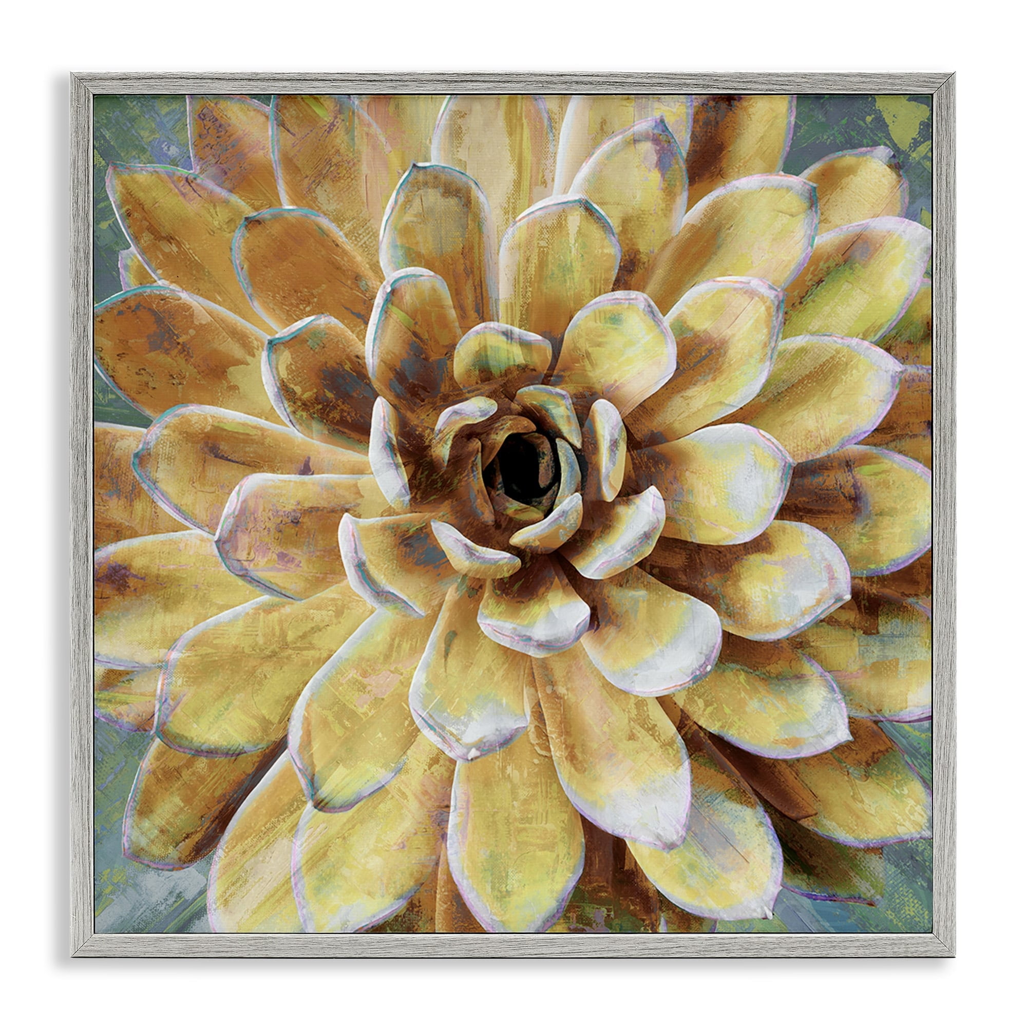 Stupell Industries Yellow Painted Botanical Succulent Bloom Painting Graphic Art Gray Framed Art Print Wall Art, 24x24, by Lindsay Benson