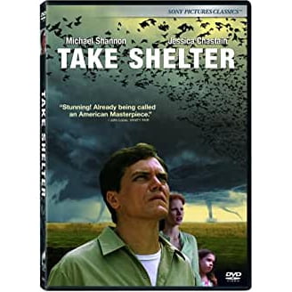 I Saw the Light (DVD) - Walmart.com