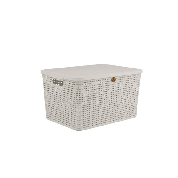 Caja de Ratán Plástico La Ardilla C/Tapa 29 cm Blanco