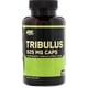 thumbnail image 1 of Precursor De Testosterona Optimum Nutrition TRIBULUS 100 Cápsulas Optimum Nutrition Precursor De Testosterona, 1 of 2