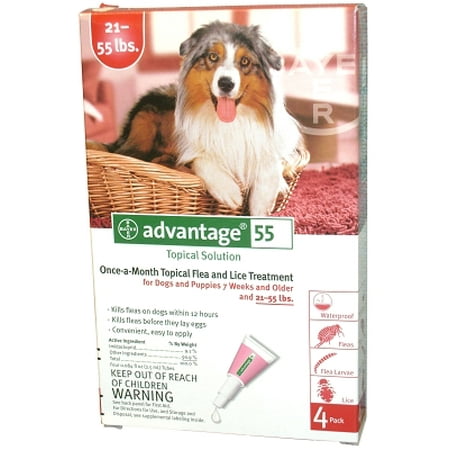advantage for dogs 55 lbs advantage flea for dogs and puppies 21 55 lbs 4 month supply walmart advantage for dogs 55 lbs advantage flea for dogs and puppies 21 55 lbs 4 month supply walmart