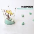 thumbnail image 2 of Hidropónico Flower Vase Paisaje Terrario Contenedor Crown, 2 of 5