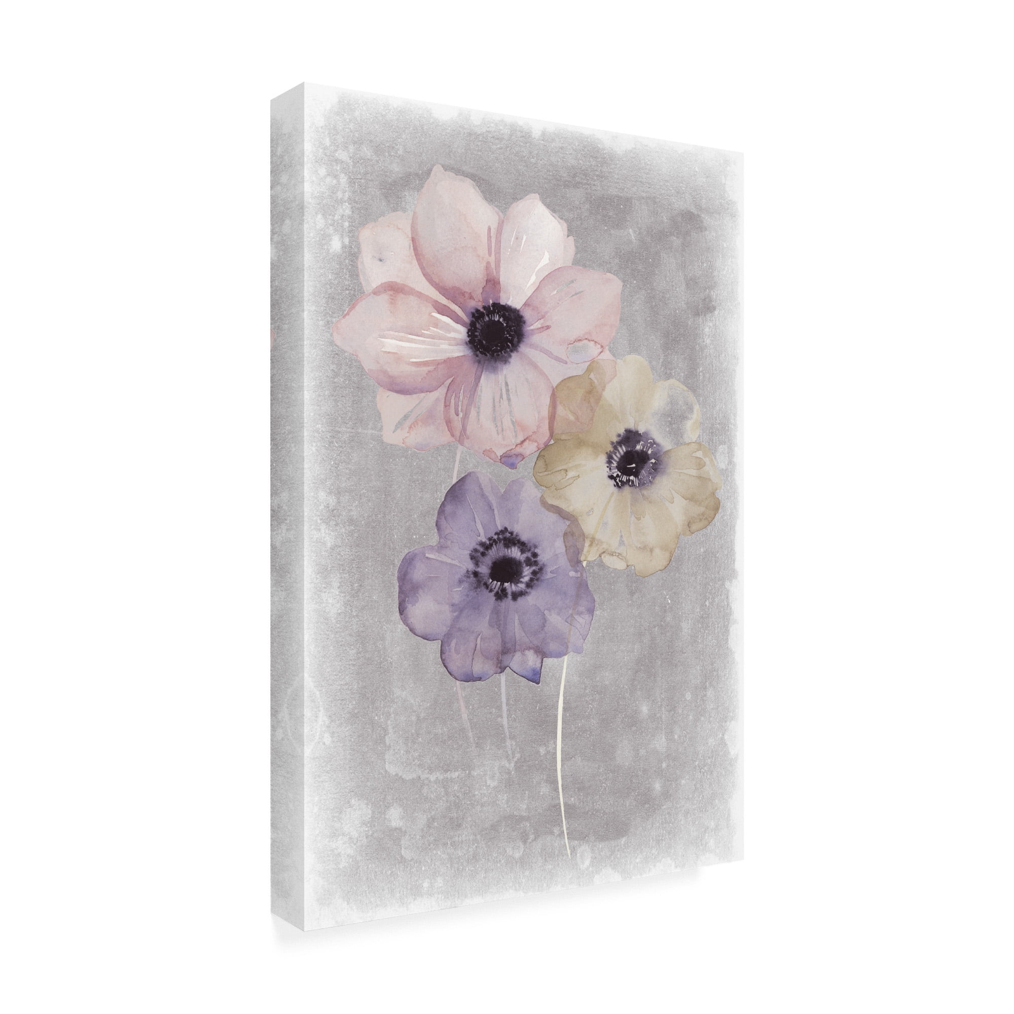 Trademark Fine Art 'Floral Waltz II' Canvas Art by Grace Popp