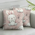 thumbnail image 2 of Cute Pink Throw Pillow Covers Set of 2 Decorative Pillowcase Cushion Covers Soft Velvet Pillow Cases for Sofa Couch Bed Car Bedroom Home Decor, 2 of 6