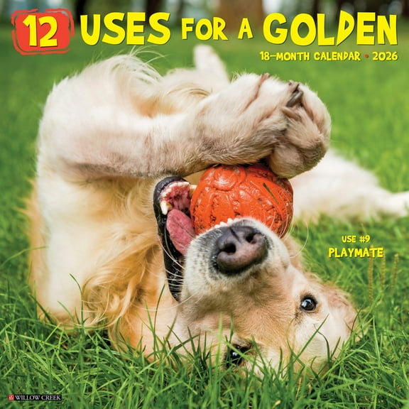 12 Uses for a Golden 2026 Wall Calendar