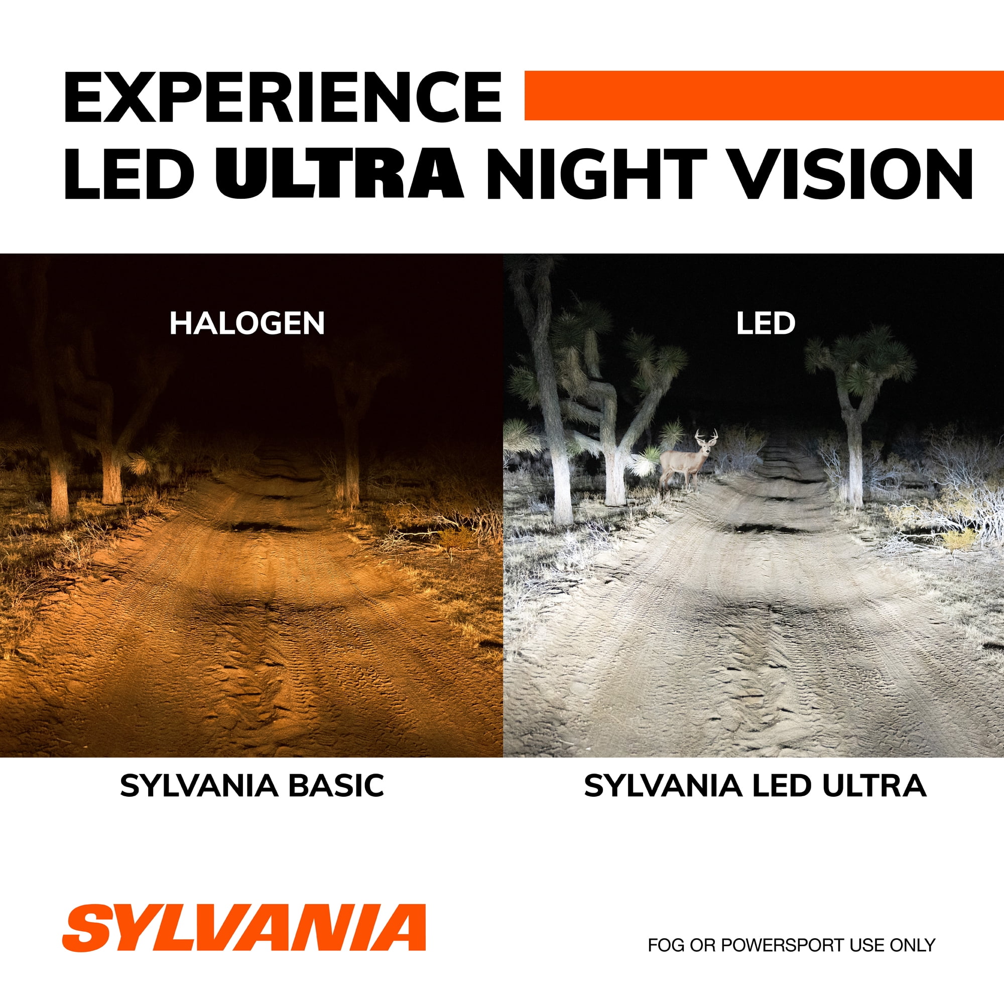 SYLVANIA H1 LED Ultra - Fog Lights For Cars and Trucks - Headlight Bulbs for Off Road Powersports - 6000k Cool White LED Light - Maximum Lifespan - No Polarity - DIY Upgrade