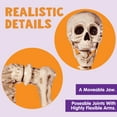 thumbnail image 3 of JOYIN 5.6ft Life Size Skeleton Full Body Realistic Human Bones with Posable Joints for Halloween Pose Skeleton Prop Decoration,Indoor and Outdoor Use, 3 of 8