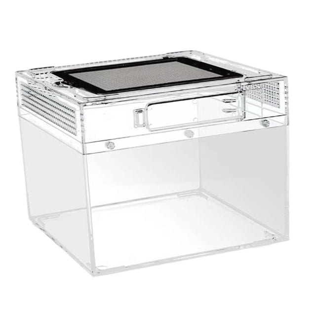 Terrario de reptiles, caja de cría, contenedor transparente, tanque para reptiles para escorpiones 20 cm x 20 cm x 15 cm