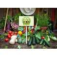 thumbnail image 5 of Eveokoki Farming Vegetable Garden Sign Avocado Always Fresh 12"x8" Rectangle Aluminum Garden Sign Vegetable Flowers Funny Garden Stakes Tags Decorations, 5 of 5