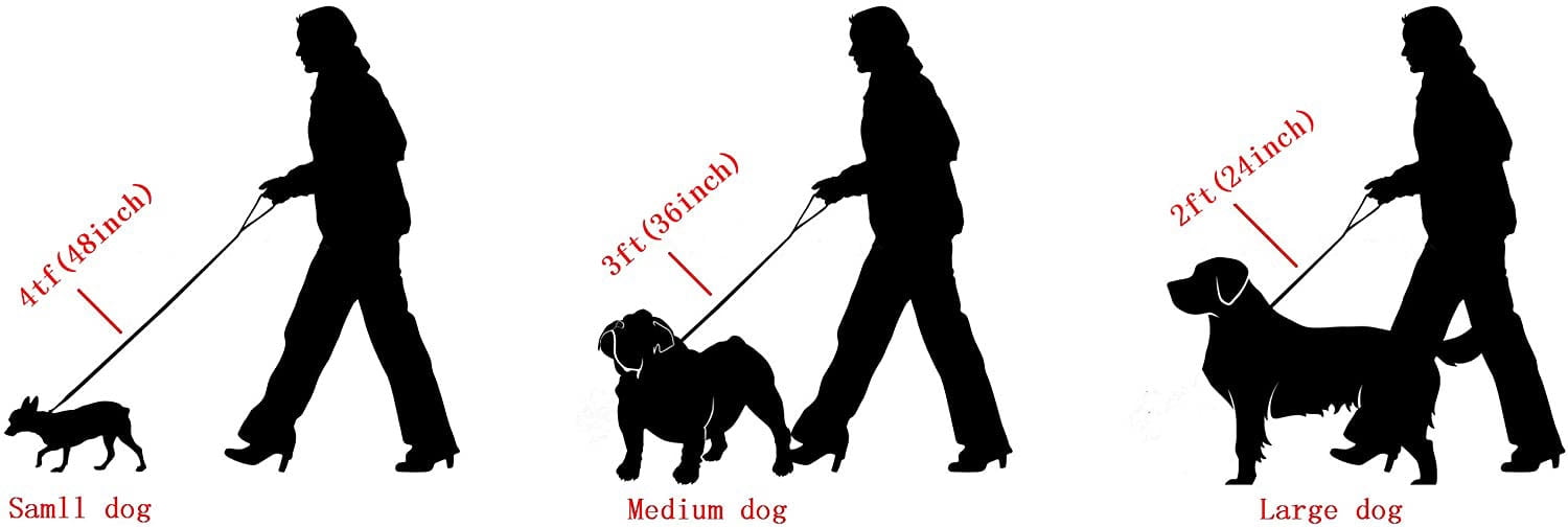 W/W Lifetime 4.3ft Strong Chew-Proof Metal Steel Multicolor Training Walking Pet Dog Chain Leash