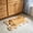 Multicolor741, variant on Tuvgenk Absorbent Bathroom Floor Rugs Cute Funky Bathroom Mat Rugs Novelty Shaped Nonslip Animal Quick Dry 16 X 24 in