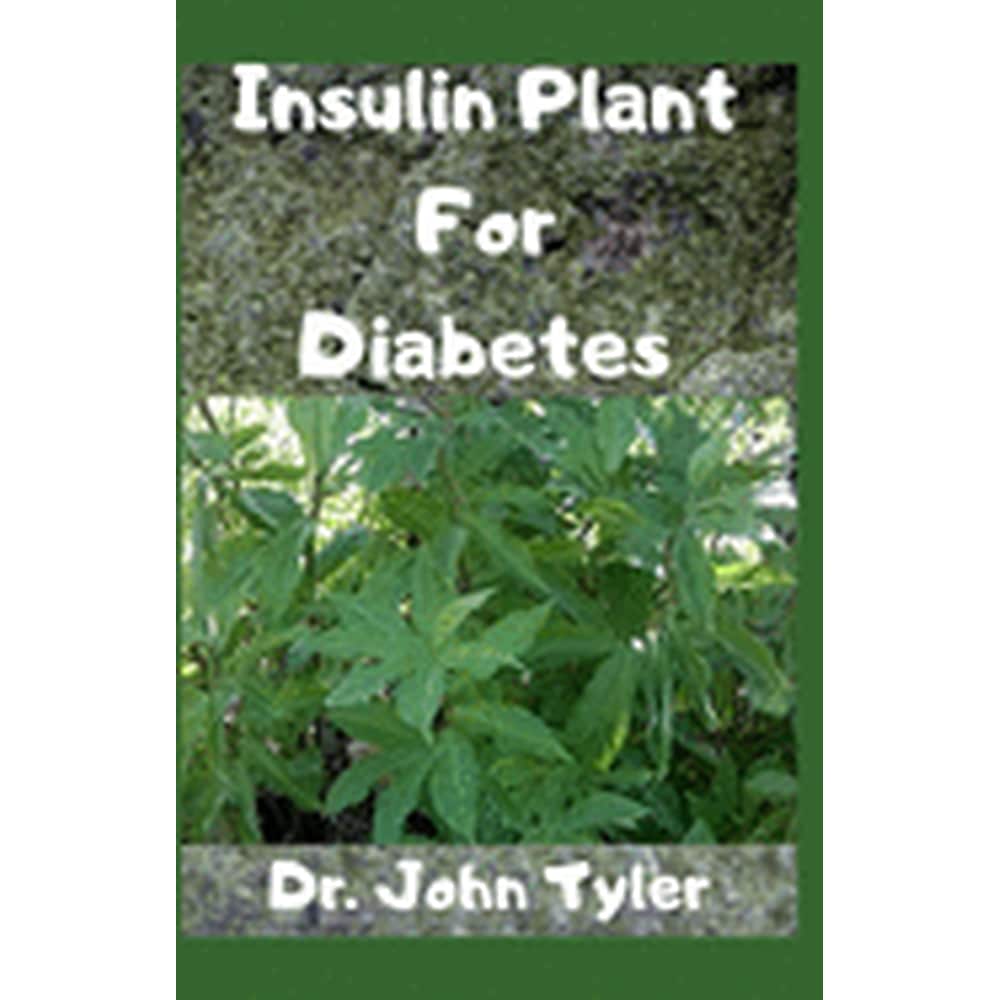 Insulin Plant for Diabetes The wonder medicinal plant that cures