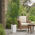 thumbnail image 3 of EcoSummer 5FT Artificial Palm Tree with White Planter, Realistic Tall Faux Areca Palm for Indoor Outdoor Home Decor, Fake Tropical Tree for Living Room, Office, Patio, Garden, 3 of 7