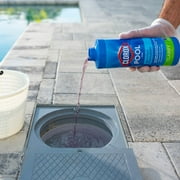 Clorox Pool&Spa Sink to Clear Pool Clarifier Chemicals, 32 oz Liquid
