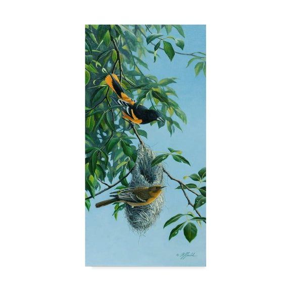 Trademark Fine Art 'Nesting Orioles' Canvas Art by Wilhelm Goebel