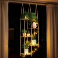 thumbnail image 1 of Estantería para Plantas ROSSNY de 5 Niveles para Ventana con Guirnalda de Vid LED, 1 of 6