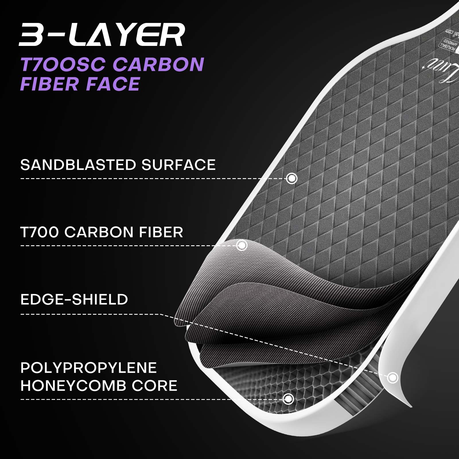 LUZZ Carbon Fiber Pickleball Paddle Set of 2 with 4 Balls and Carry Bag, USAPA Approved, T705 Pickle Ball Rackets for All Skill Level