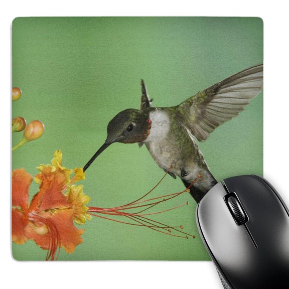 3dRose, Ruby-throated Hummingbird, Red Bird Of Paradise - NA02 RNU0254 - Rolf Nussbaumer, MousePad