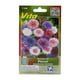 thumbnail image 1 of Pack De 2 Semillas Pincel Centaurea Variada Vita Vita 0.9Gr, 1 of 3