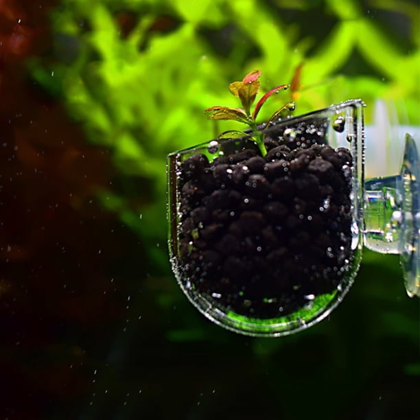 Alimentador Rojo Transparente para Acuario Ventosa Recipiente para Alimentación de Peces Accesorio Comederos Automáticos Alimentador de Peces ANGGREK Otros
