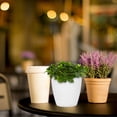 thumbnail image 3 of Juego de 7 macetas colgantes de interior con autorriego para flores y suculentas., 3 of 7