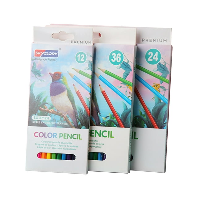12-Color Colored Pencils Set Art Supplies For Drawing Sketching Coloring Pensils For Adults Students Beginners And Artists