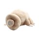 thumbnail image 3 of Juguete de peluche de oso de agua, oso de agua de mar profundo, juguete de peluche de simulación, juguetes para niños, regalos para familiares, amigos y amantes, 3 of 12