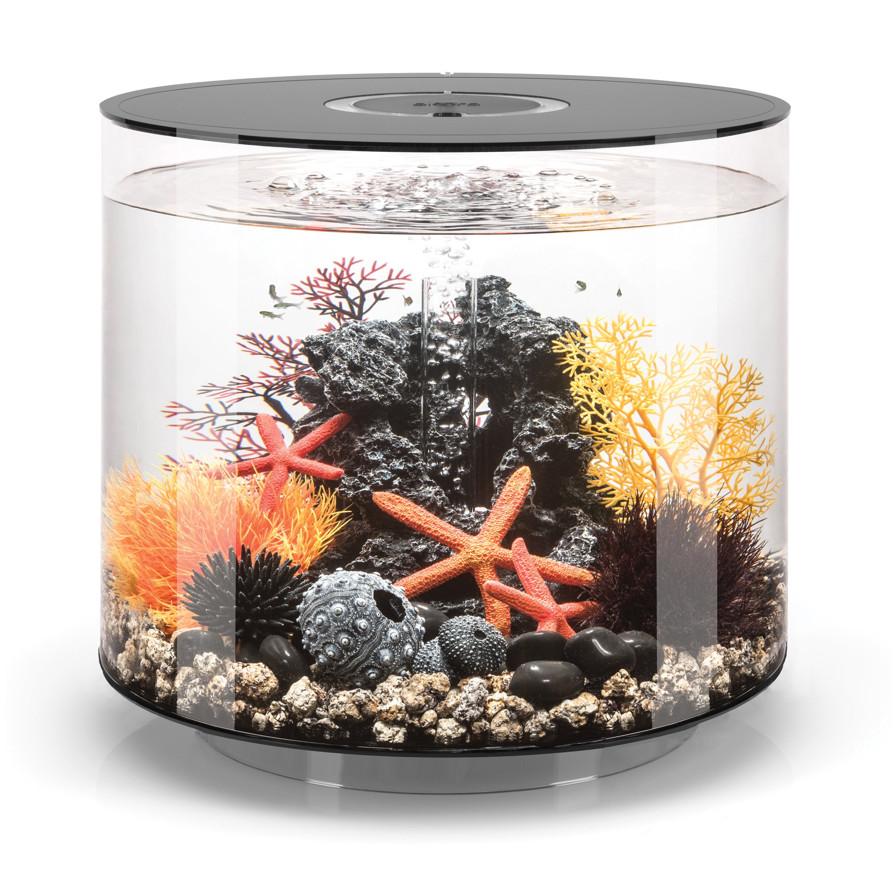 biOrb LOOP 30 Aquarium with Standard Light - 8 Gallon, White
