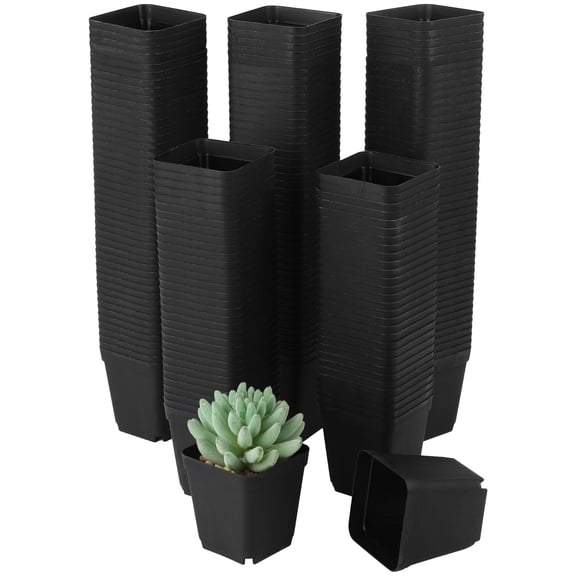 200PCS Black Nursery Pots, 3.1" x 2.7" x 1.9" Plastic Square Flower Pots, Seed Starting Pots with Drainage Holes, Succulent Planter for Garden Office Balcony Indoor Outdoor Plant