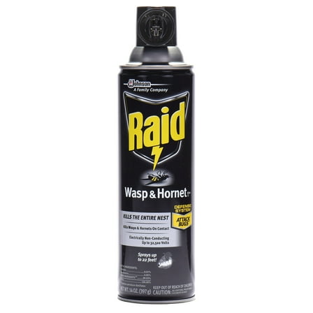 Raid Wasp Hornet Killer Spray 14 Ounce Pack of 1