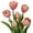 Pink, variant on 6 Pcs Tulips Artificial Flowers Real Touch Fake Latex Tulips Flowers for Mother's Day 14" Faux Flowers for Vase Centerpieces Home Wedding Bouquet,Coral Red
