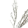 thumbnail image 2 of Northlight Weeping Willow Artificial Christmas Spray - 47" - Silver, 2 of 3