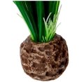 thumbnail image 4 of biOrb Easy Plant Pack, Small, 4 of 4
