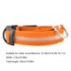 thumbnail image 2 of Collar LED USB para perro Collar LED brillante Collar recargable (M) Naranja, 2 of 6