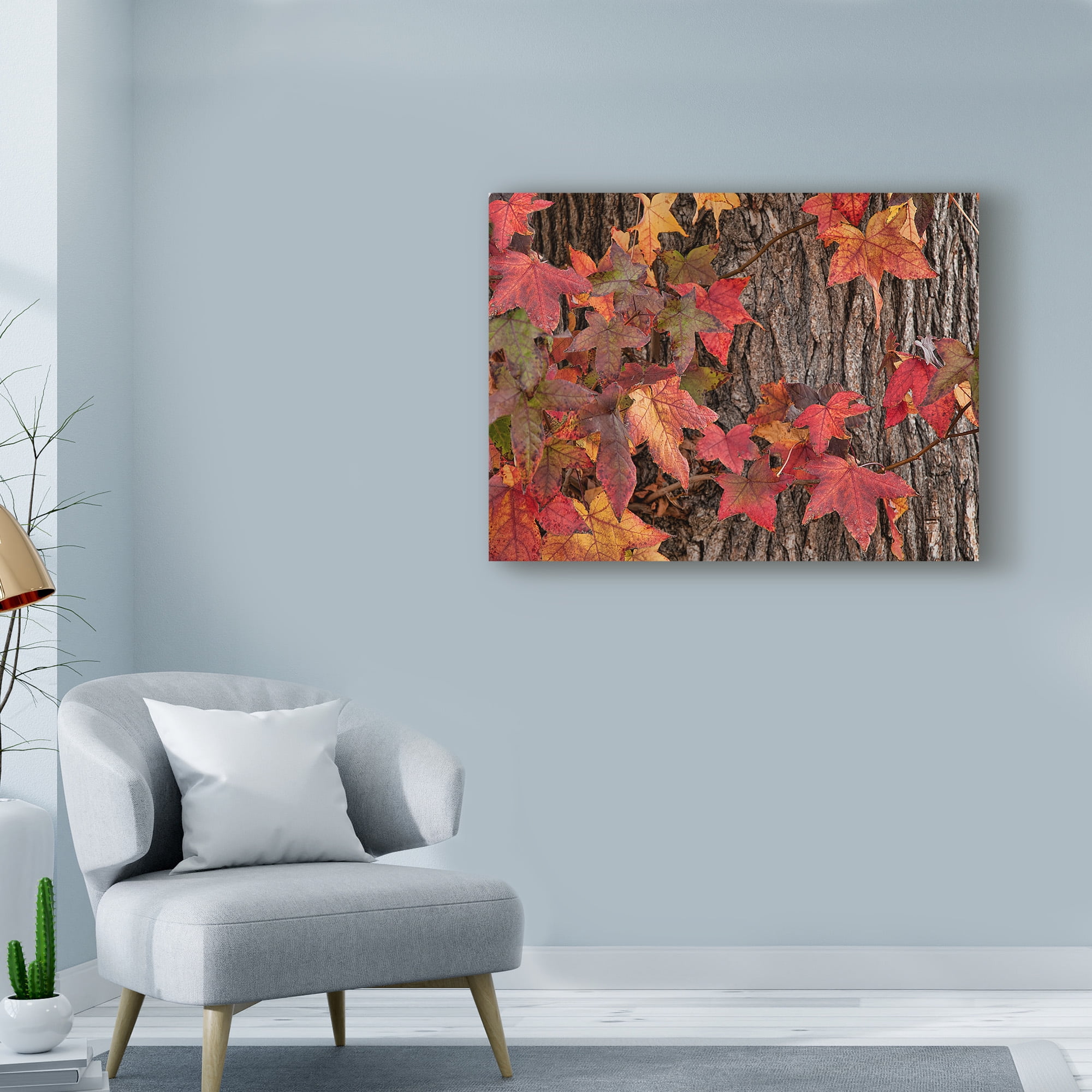 Trademark Fine Art 'Red Leaves On A Tree' Canvas Art by Lori Hutchison