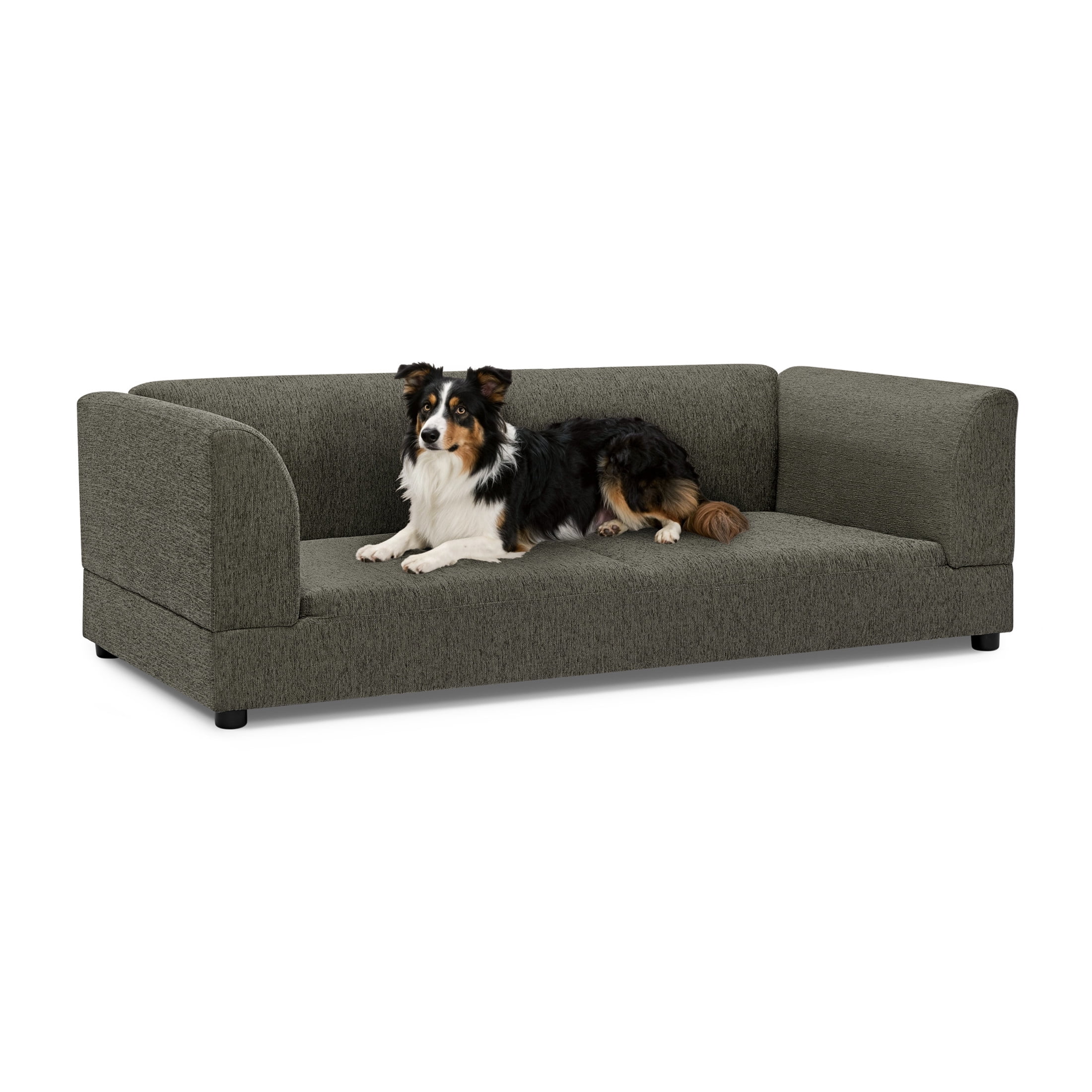 Noble House 57" Comfortable Oversized Pet Sofa, Modern Rectangular Dog Bed with Armrests and Cushion, Dark Gray