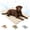 Beige, variant on Pawlabs Cooling Mat For Dogs,48.0 × 28.0 in,  Pawlabs Cooling Matt, Medium Portable Summer Cooling Bed For Crates, Travel, Camping And Home