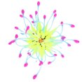 thumbnail image 5 of Coral artificial silicona simulación agua planta acuario pecera decoración ornamento amarillo, 5 of 5