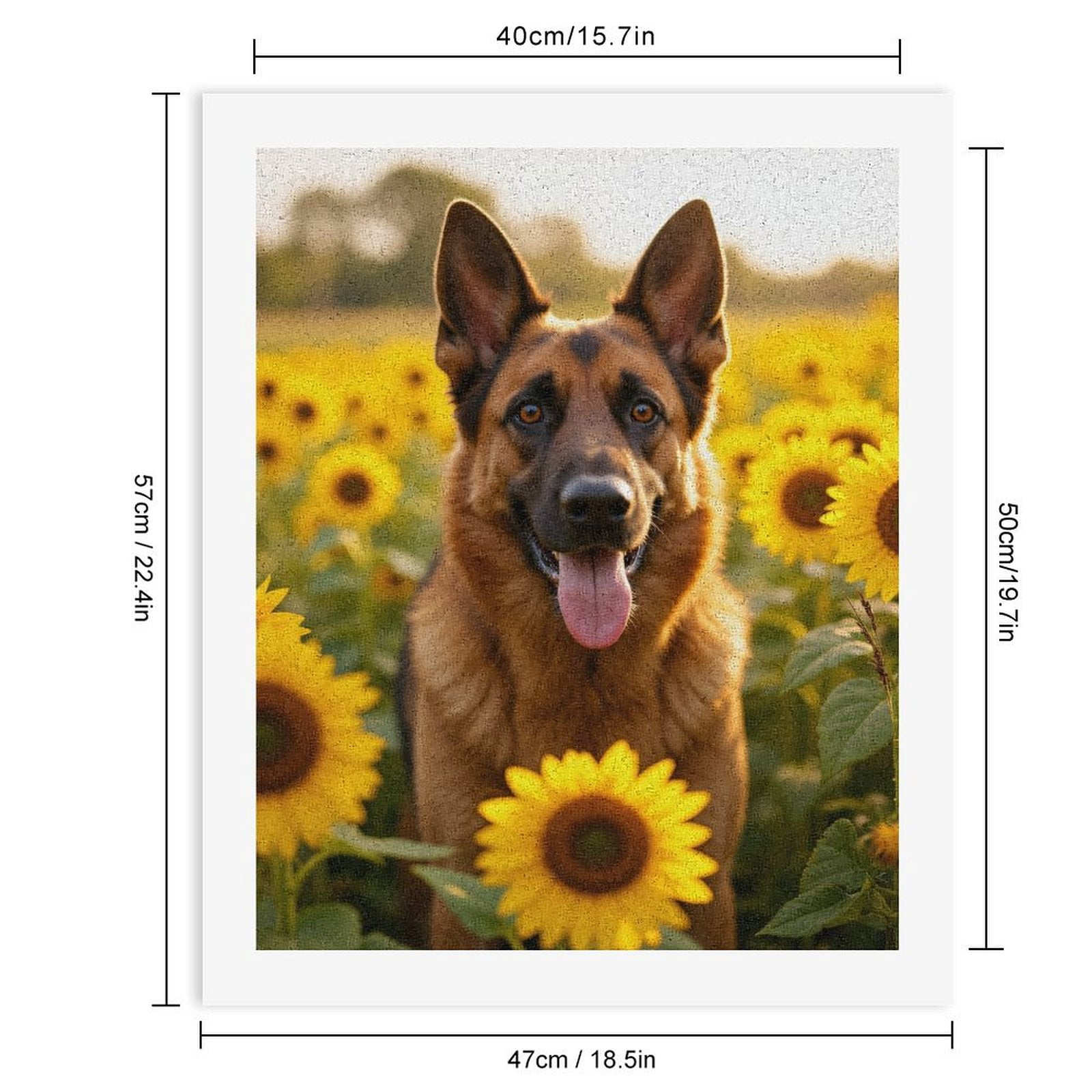 Paint By Numbers Kit for Adults Beginner - DIY German Shepherd Sunflower Field Canvas Painting Kits for Adults, Frameless Paint By Number for Adults for Home Wall Decor 16x20 Inch