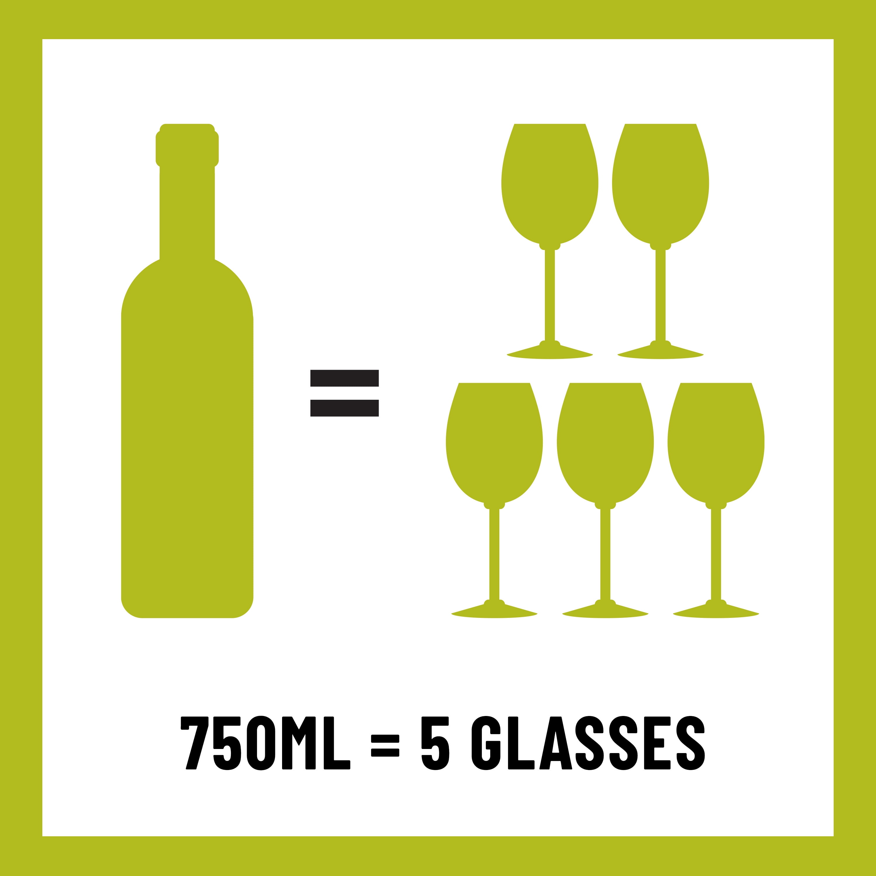 Ecco Domani Pinot Grigio White Wine, 750ml Bottle, 12.5% ABV