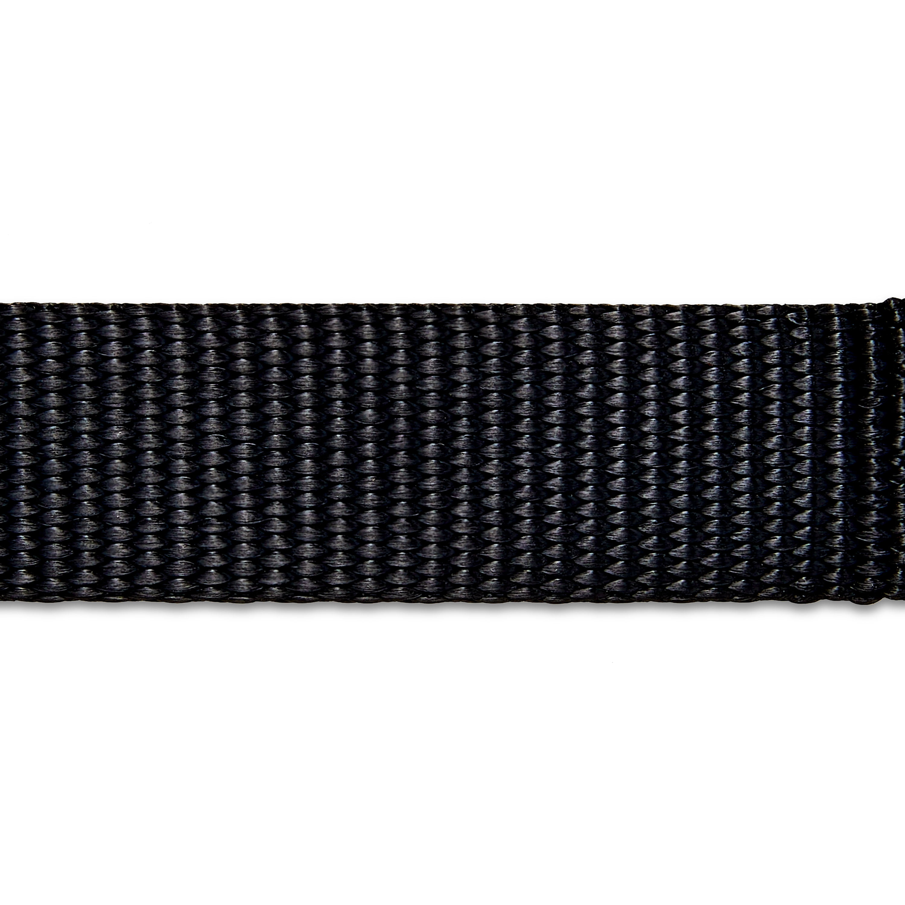 (2 pack) Vibrant Life 6 ft Solid Polyester Leash, Black, Large