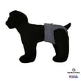 thumbnail image 2 of Barkertime Baby Blue Washable Dog Diaper - Made in USA, 2 of 7