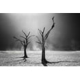 thumbnail image 2 of Fegari 18x13 White Modern Wood Framed Museum Art Print Titled - Afterlife, 2 of 4