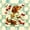 Green Cream, variant on Homewish Surfing Dachshund Print Twin Comforter Sets,Pink Hibiscus Flowers Bedding Set,Dog Decor,Colorful Stars Reversible,2-Piece,1 Comforter and 1 Pillowcase