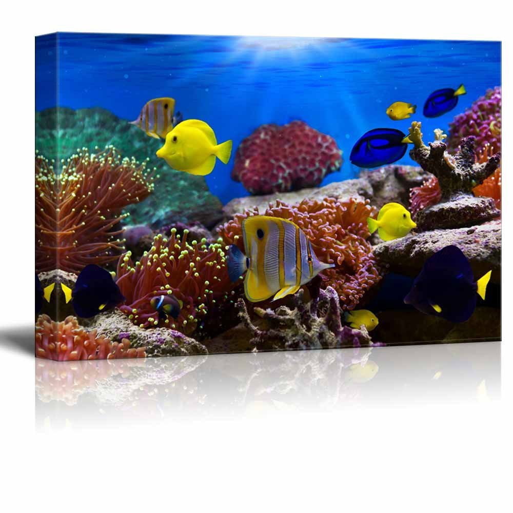 Canvas Wall Art - Coral Reef and Tropical Fish under the Ocean | Modern ...
